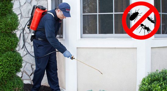 Göle Dezenfeksiyon böcek ilaçlama ve haşere kontrolü — ilaclama-tr.com